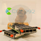 Dell PC8100 10GSFP+ Module Lot of 2