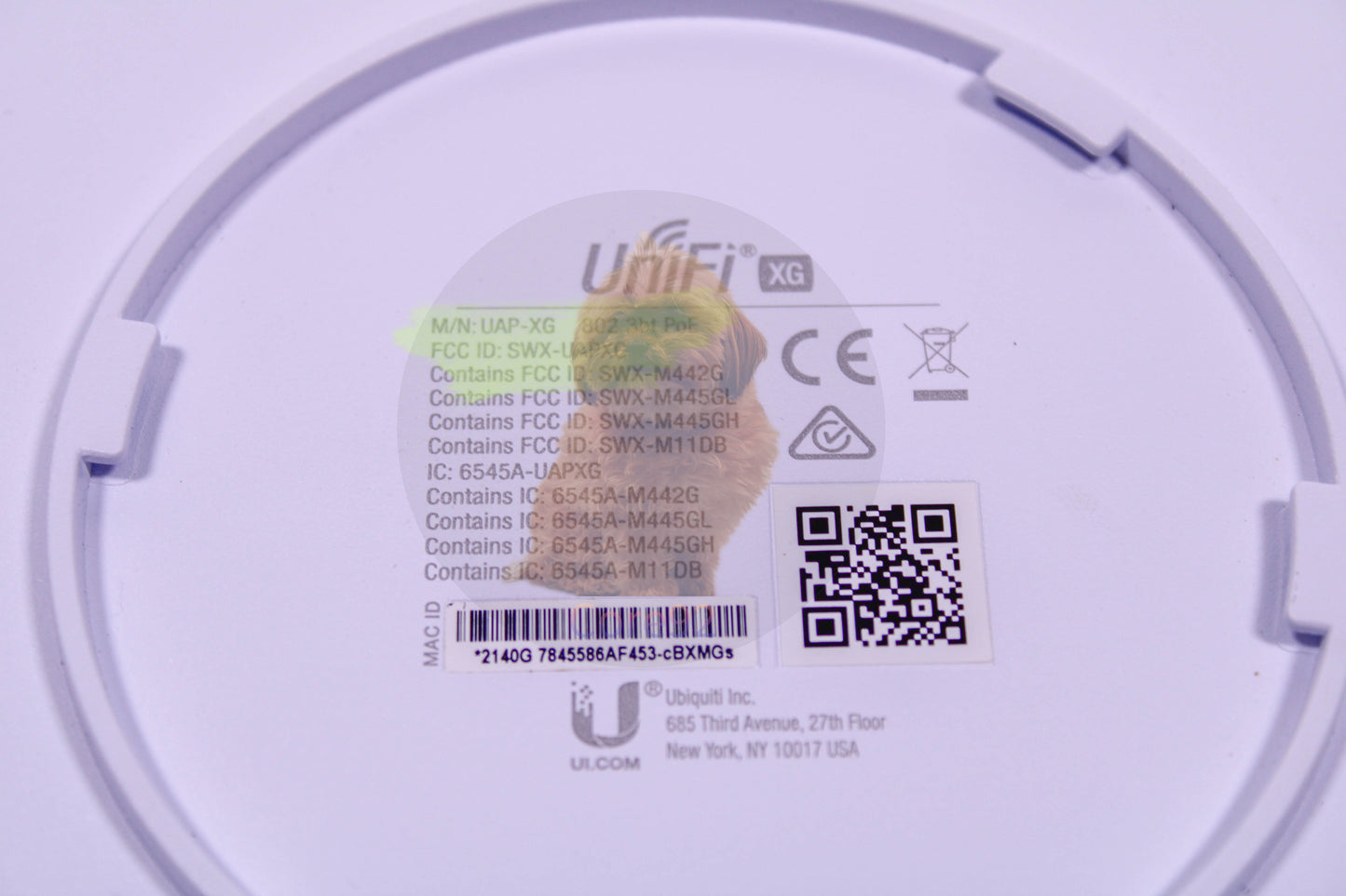 Arista UAP-XG-US